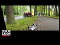 GEWONDE NA BOTSING TEGEN BOOM IN HEERLEN