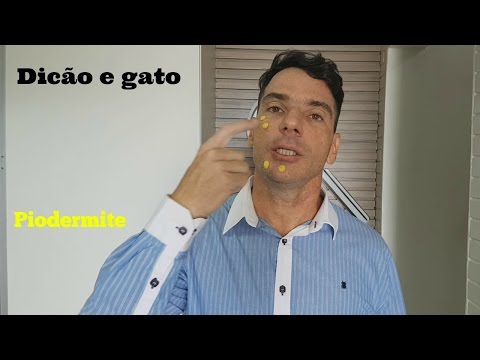 Vídeo: Pioderma Em Cães - Infecção Bacteriana Da Pele Em Cães