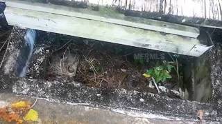 Homes for Sale - 2401 E 19th Ave Tampa FL 33605 - Kimberly Bowden