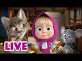 🔴 LIVE STREAM 🎬 Masha and the Bear 🤪What a mess🤪