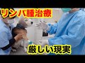 犬のリンパ腫治療　厳しい現実