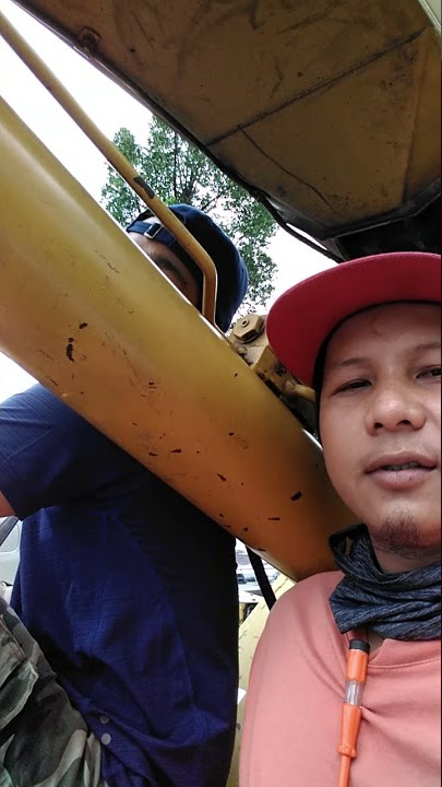 armada halu bos