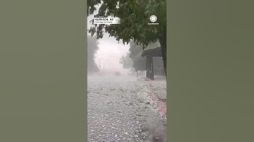 Huge hail shreds trees in Nebraska | AccuWeather