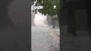 Huge hail shreds trees in Nebraska | AccuWeather