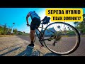 Sepeda Hybrid Sedikit Peminatnya, Kok Bisa Ya?