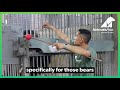 How physiotherapy helps our elderly rescued bears