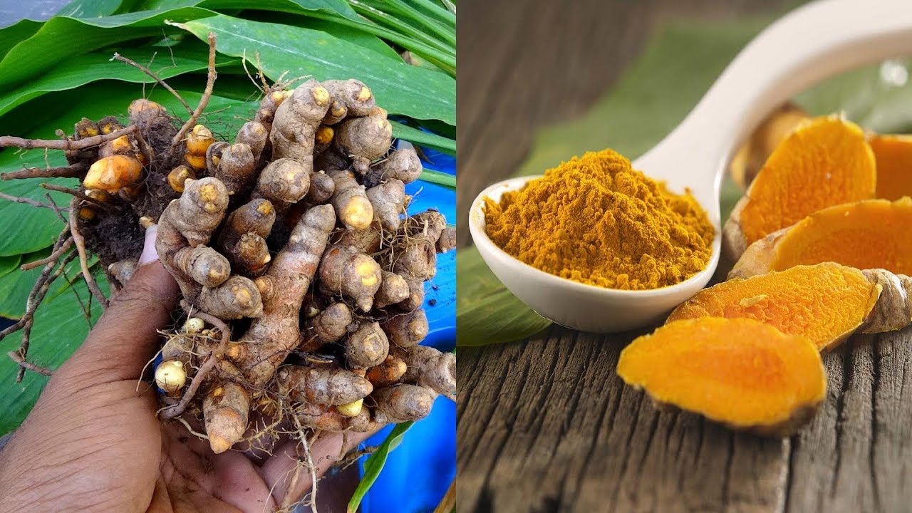 Porno ogli onasiga josuslik qildi va u uni ushlab oldi Bittasini onlayn tahlil qiling