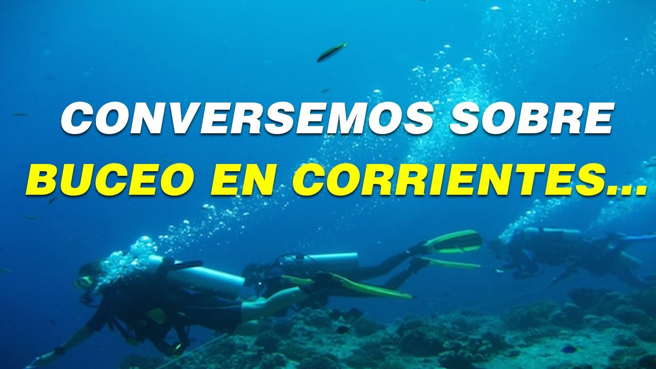 Fuerte Gancho De Arrecife Individual Buceo De Corriente Fuerte Gancho De Arrecife Individual Buceo De Corriente