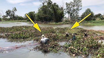 kỳ lạ  ! kéo nhau đi bắt ổ cá khủng núp trong đám lục bình ( phần 2 ) | THÚ VUI MIỀN TÂY