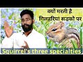 #3 Mystery box गिलहरी की विशेषताएं ।। Squirrel's three specialties by pratham academy
