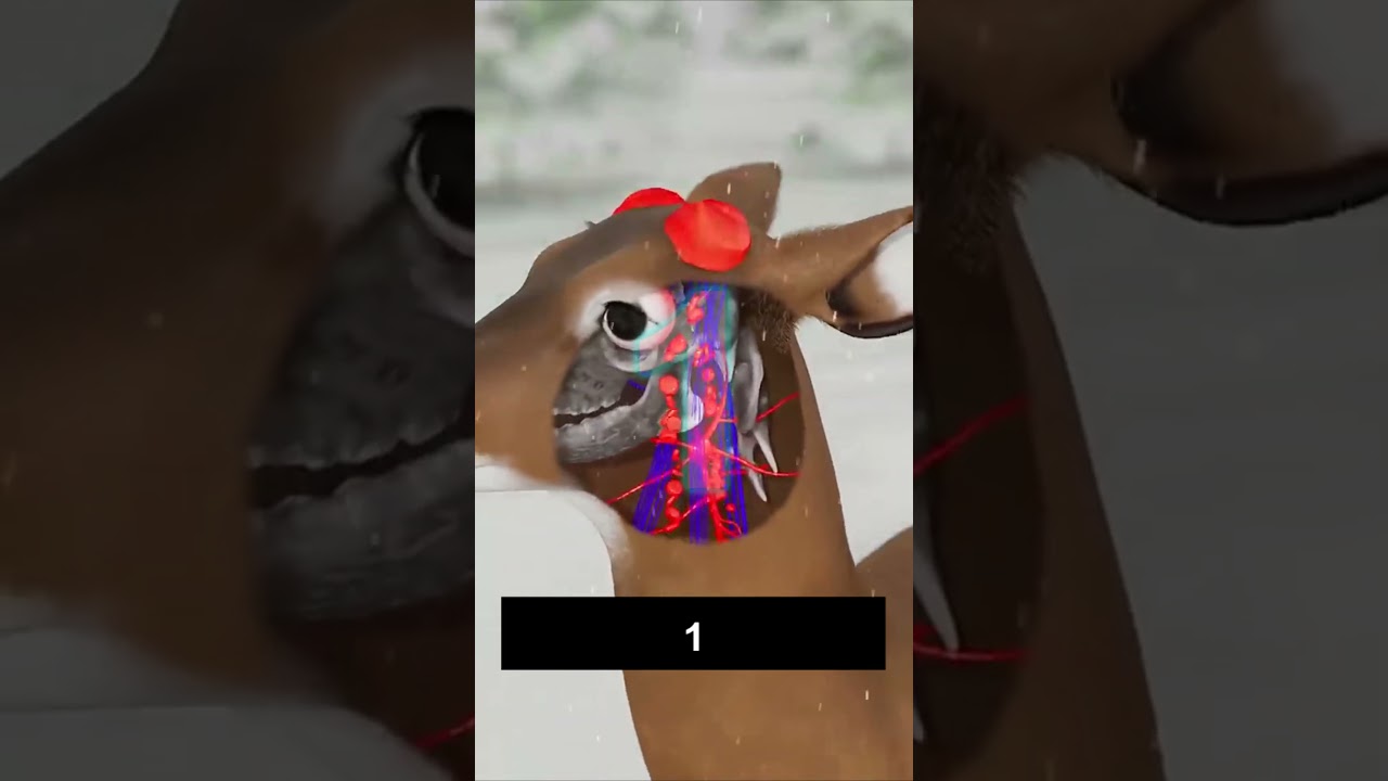 [YTP] Zack D Films сходит с ума