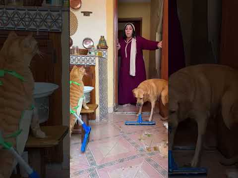 العقوبة ناضت ميو ميو كتغسل الماعن وووف كيسيق والمولاة كتعيط ها الروينة لي درتو نظفوها