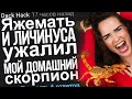 ЯЖЕМАТЬ И ЛИЧИНУСА УЖАЛИЛ МОЙ ДОМАШНИЙ СКОРПИОН. ЯЖЕМАТЬ ИСТОРИИ.