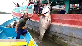 kangen dengan orang tua pecah histeris saat strike ikan kerapu raksasa