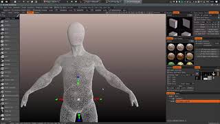 3dCoat Autopo Net Worth