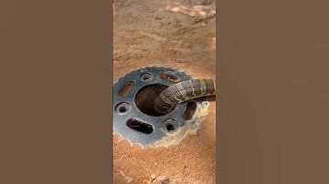 Amazing DIY snake creative #snakeinhole #snake trap #snakeepop #shortsvideo #buildsnaketrap #cobra