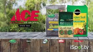 Ace Hardware 2024 Spring Campaign