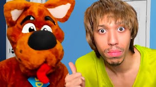 Shaggy and Scooby Reunite