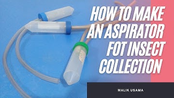 How To Make An Aspirator For Insect Collection | all about insects