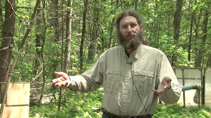 Ants and Climate Change -- Aaron Ellison, Warm Ants