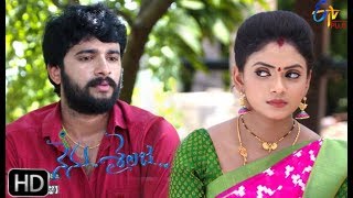 #nenusailaja #balu #sailaja balu gets irritated as suri keeps
interrupting him. later, makes his attempt to get cozy with sailaja.