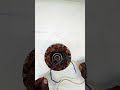 sealing statuar bending checking #experiment electronic connection