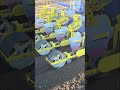 ほうれん草12月の種まき