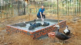 Building Bamboo Fence, Build Swimming Pool For The Geese  Raise Geese | My Farm / Đào