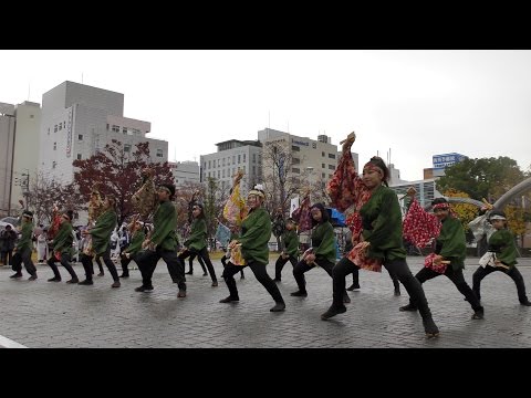 「よさこい和楽」四日市よさこい祭り2016【市民公園会場】