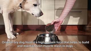 Unveiling The Truth: 10 Surprising Facts About Orijen Dog Food | Best Dog Food Or Not? | Dog Food