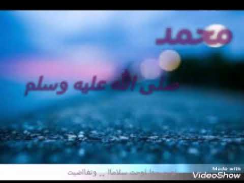 ماهرزين على نهجك مشيت حالة واتساب  كلمات