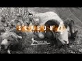 Alaska adventure hunting brown bear dall sheep caribou moose season 4 part 1
