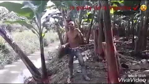 Es loco ayala