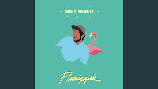 Video thumbnail of "Flamingosis - Sunset Park"