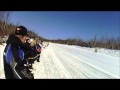 Sled Races In Fredericon