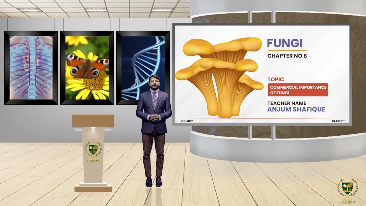 Commercial Importance of Fungi || 11TH BIOLOGY || CHP 8 || LECTURE 14 ||