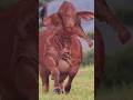 Disturbing Mutations Discovered In Nature Scientists Want To Forget