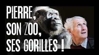 Pierre, son zoo, ses gorilles ! A Saint-Martin-la-Plaine - Documentaire