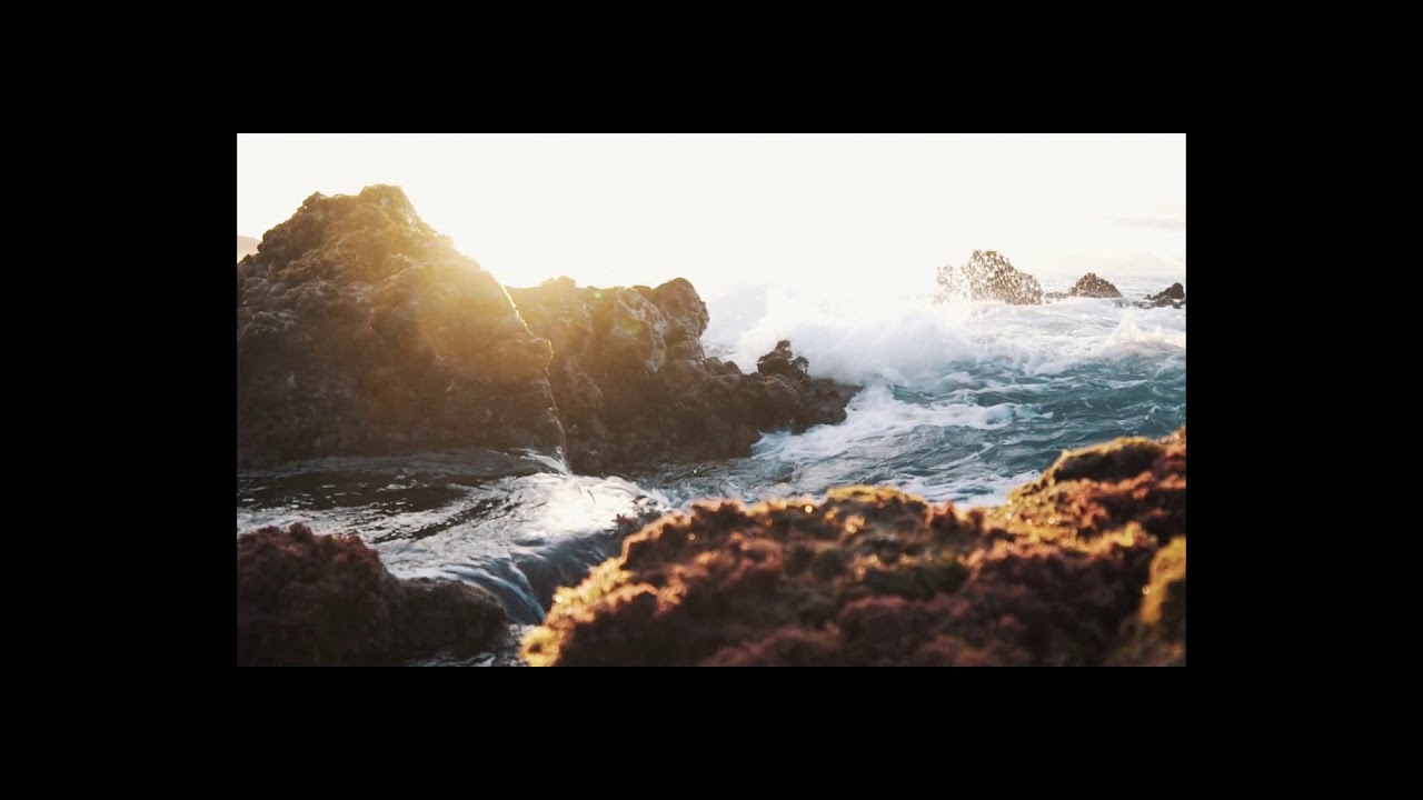 CARLOS CUEVAS. ALGUNA VEZ TENDREMOS ALAS EL CASTIGO SOÑANDO TE CARLOS CUEVAS. ALGUNA VEZ TENDREMOS ALAS EL CASTIGO SOÑANDO TE