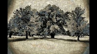 Alexander Borodin: Petite Suite - VII Nocturne
