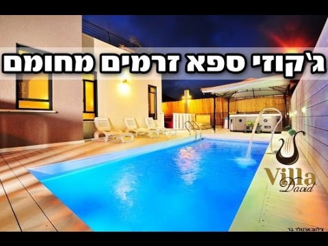 וִידֵאוֹ: שווי נקי של דוד וילה: ויקי, נשוי, משפחה, חתונה, שכר, אחים