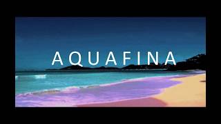 Video thumbnail of "aquafina."