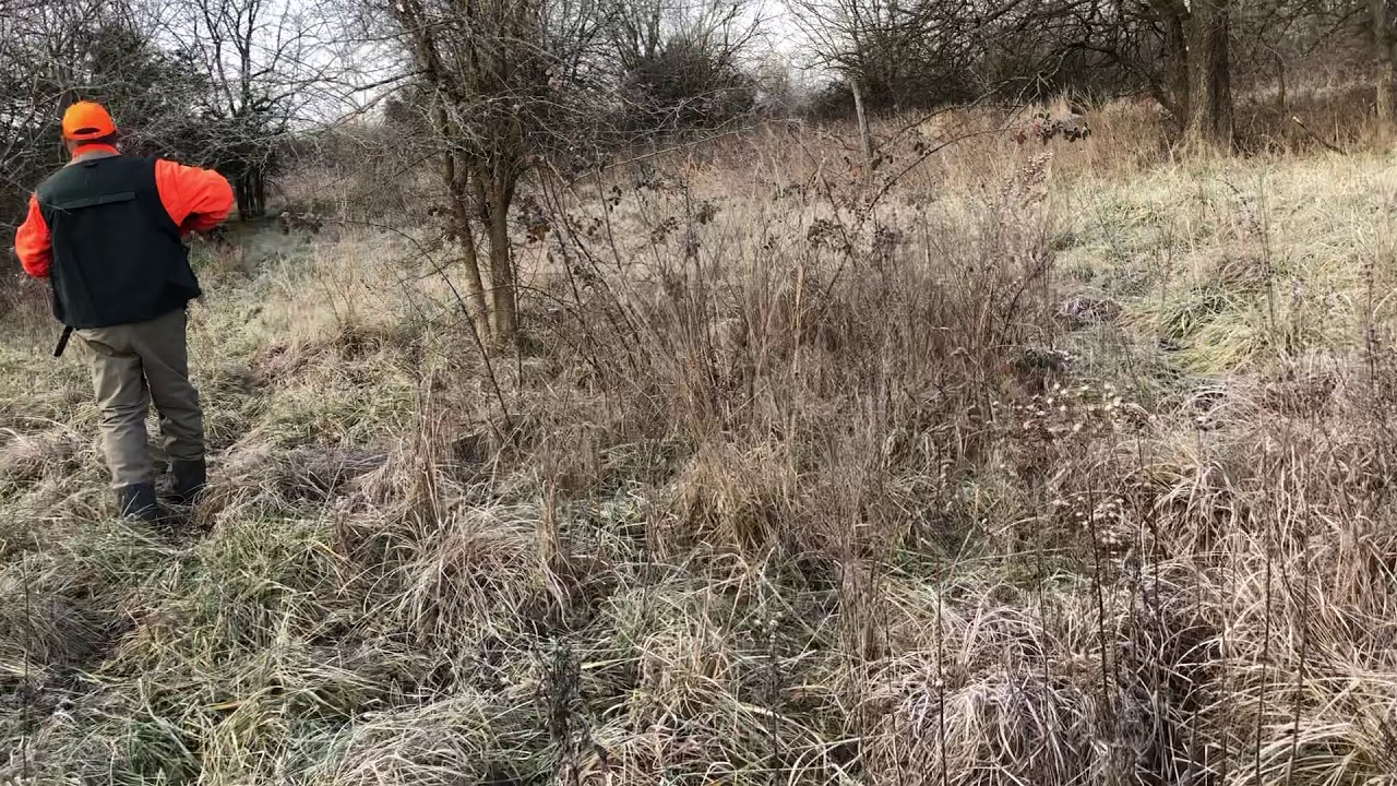 12-14-20 Come rabbit hunt with us.