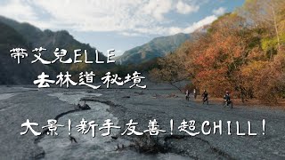 無敵大景帶艾兒去超Chill的林道秘境放鬆 @elle0315  Loot2魯特