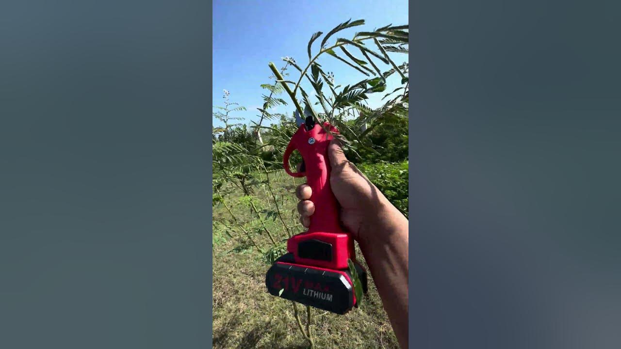 electric scissors easy use save time tool P1815 YouTube