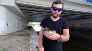 картинка: На рыбалку с Муратом в Бутаковский залив  27.07.2019.