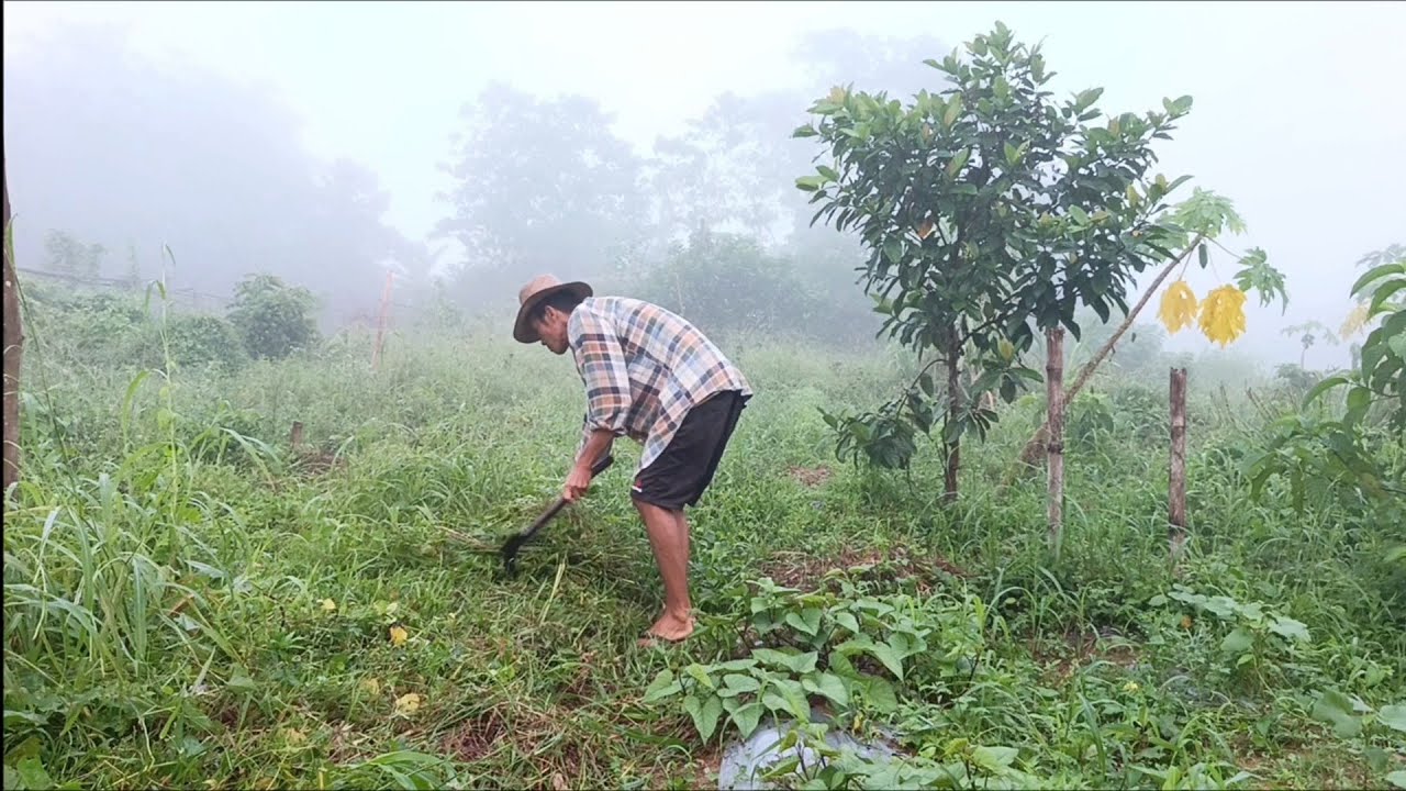 Living Simply in the Province: Happy with What We Have