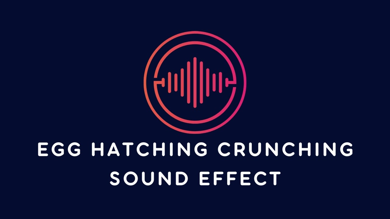 Egg Hatching Crunching Sound Effect