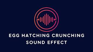 Egg Hatching Crunching Sound Effect