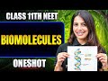 Biomolecules in ONE SHOT | All Concept & PYQ | Basics to Advanced | Class 11 NEET